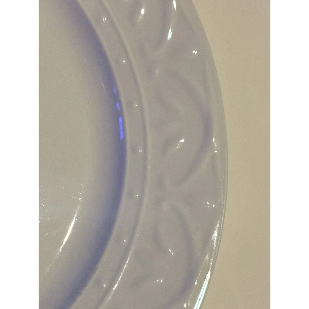 PFALTZGRAFF CARA (2) Dinner Plates 10 3/4